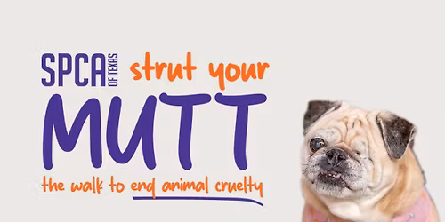 Vendor at SPCA Strut Your Mutt