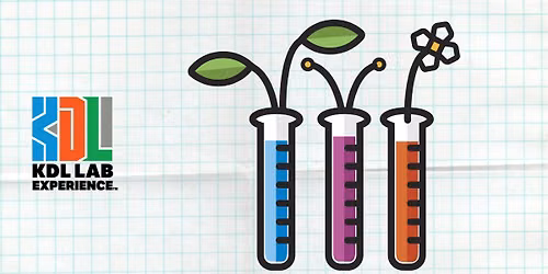 KDL Lab Experience: STEAM and Stems