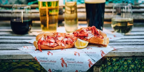 Cousins Maine Lobster\ud83e\udd9e at St. Petersburg : Outcast Brewing Company