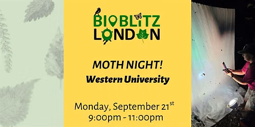 Moth Night #1 at Western University