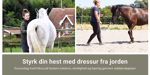 Styrk din hest med dressur fra jorden m\/Ellen Sauer