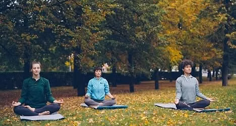Meditation in the Park