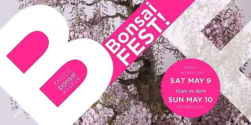 BonsaiFEST!