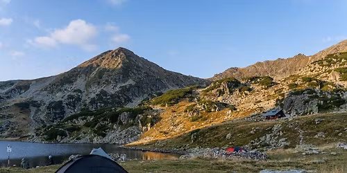 Vadont\u00fara a D\u00e9li-K\u00e1rp\u00e1tok vad sz\u00edv\u00e9ben