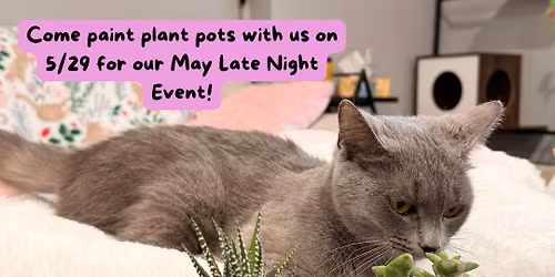 May Meowing at the Moon Late Night