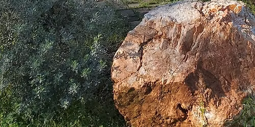 Breaking Curses:  Cleansing, Clearing, Lifting, and Breaking Malediction Day Long Intensive With Chr