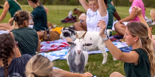 Goat Yoga @ Shelby Farms Park