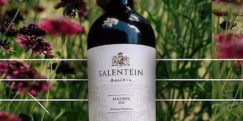 Old Town Wine Bar and Bodegas Salentien