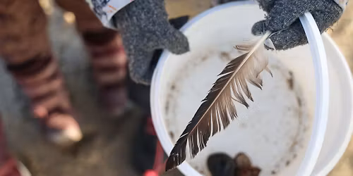 \u00c5bent hus: Strandens fugle