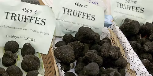 Premiere Class: Truffles 201\u2014$150