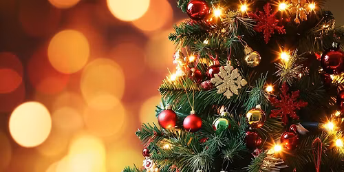 Playgroup Christmas Party