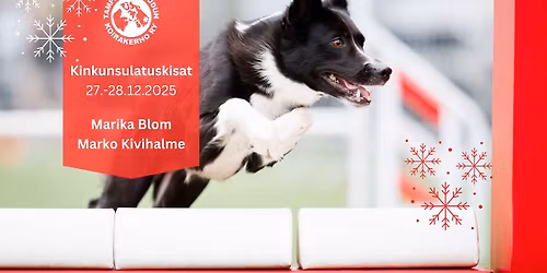 TamSKin Kinkunsulatuskisat 2025