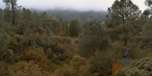 Stemple Pass \/\/ Troms\u00f8 Filmklubb