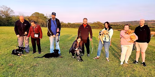 Dog training classes 