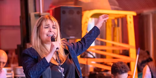 Jenny & The Vital Organs