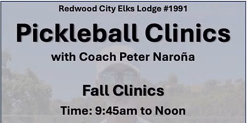 Pickleball Clinics