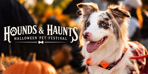 HOUNDS & HAUNTS