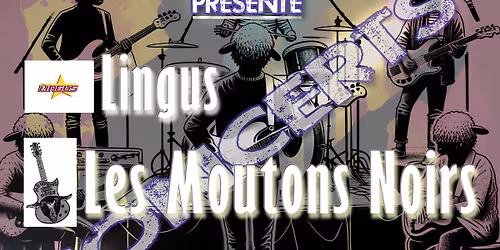 Les Moutons Noirs & Lingus Live au Ferrailleur 