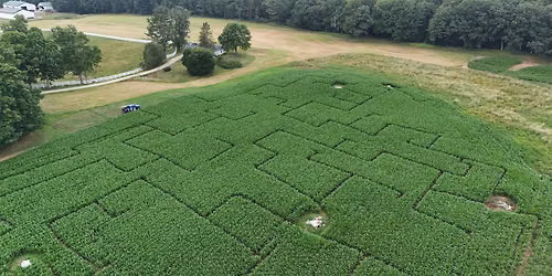 Corn Maze at Pineland Farms
