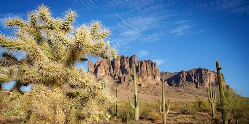 Sonoran Desert Botany Hike