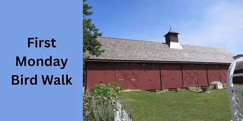 First Monday Bird Walk