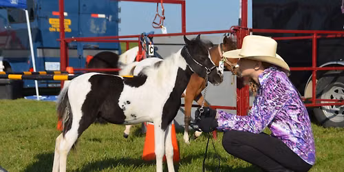 MHCO Orangeville Fair Show
