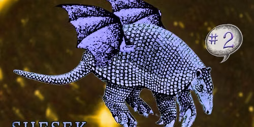 Armadillo Festival #2