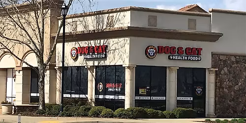 Lincoln - Dog dental cleaning