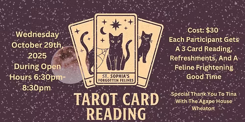 Mystic Whiskers: Tarot Card Reading Night