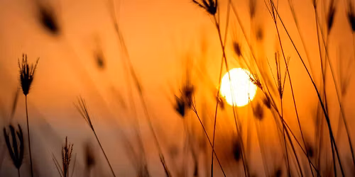 Awaken with Ease: Morning Yin