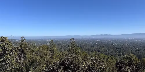 Black South Bay April Hike at Lookout, Redwood, Orchard, Creek Trails