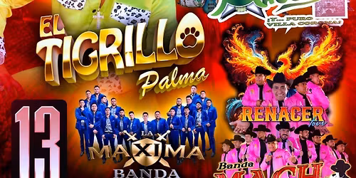 LA ORIGINAL BANDA MAGUEY, EL TIGRILLO PALMA & MAS
