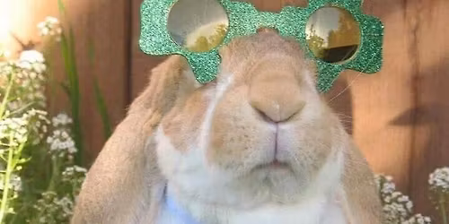 TCRA Spring Rabbit and Cavy Shows -Kennewick