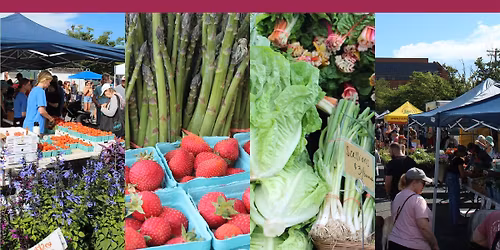 Bel Air Farmers' Market