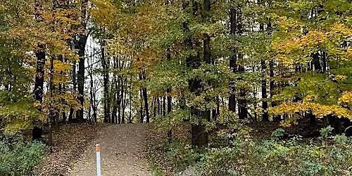 Forest Friends: Parent + Child Nature Hike + Yoga + Art (Gully Brook)
