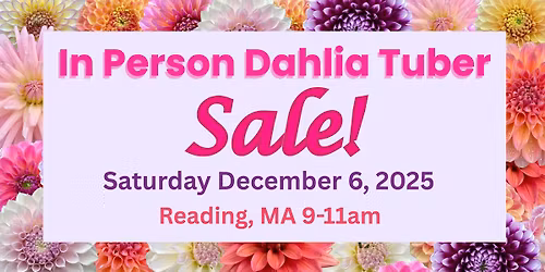2025 In Person Dahlia Tuber Sale!