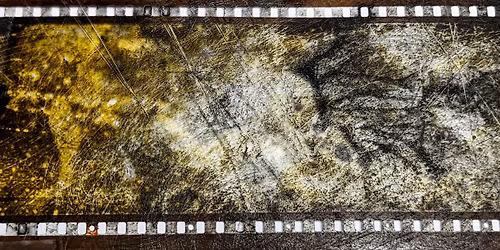 PREMI\u00c8RE VUE | Steven Woloshen