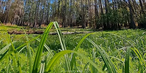 Nature Photography Week