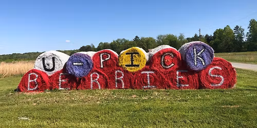 Carolina Tulip and Strawberry Festivals 