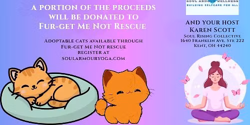 Kitty Yoga 
