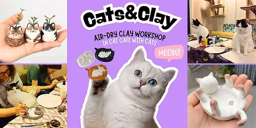 Cats&Clay - clay workshop in cat cafe with cats - Leiden
