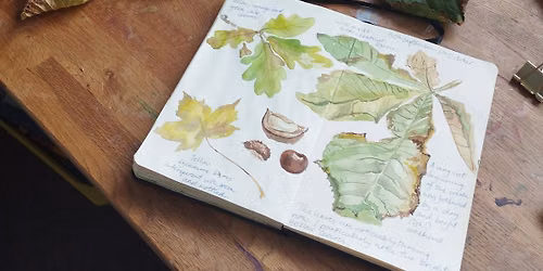 Autumn Nature Journalling at the Botanical Gardens