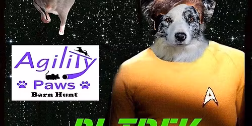 6 - BHA approved Barn Hunt trials -Pi Trek