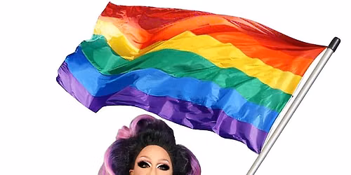 MISS CONCEPTION: Make American Gay Again!