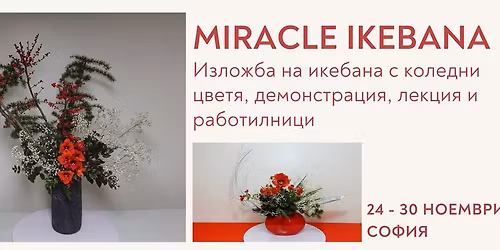 MIRACLE IKEBANA: \u0418\u0437\u043b\u043e\u0436\u0431\u0430 \u043d\u0430 \u0438\u043a\u0435\u0431\u0430\u043d\u0430 \u0441 \u043a\u043e\u043b\u0435\u0434\u043d\u0438 \u0446\u0432\u0435\u0442\u044f, \u0434\u0435\u043c\u043e\u043d\u0441\u0442\u0440\u0430\u0446\u0438\u044f, \u043b\u0435\u043a\u0446\u0438\u044f \u0438 \u0440\u0430\u0431\u043e\u0442\u0438\u043b\u043d\u0438\u0446\u0438
