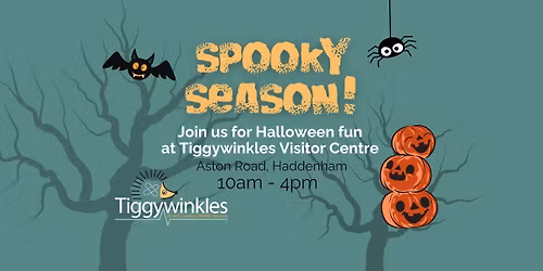 Halloween Fun at Tiggywinkles!