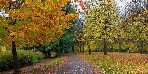 Laurelhurst Park Wings & Wander
