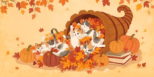 Thankful for Kittens