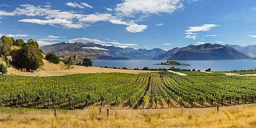 Southern Hemisphere Superstars Wine Tasting