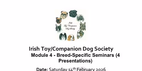 Irish Toy\/Companion Dog Society Module 4 - Breed-Specific Seminars (4 Presentations)